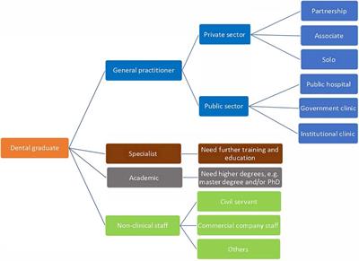 Mapping of dental graduates’ career paths in Hong Kong, Japan and mainland China